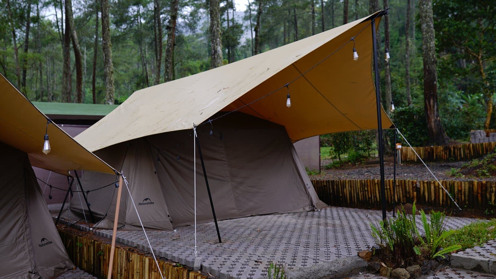 Camp Senja 7